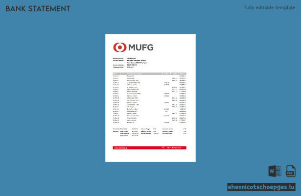 Beispiel für einen Kontoauszug der japanischen MUFG (Japan MUFG) in Excel (Vorschau)